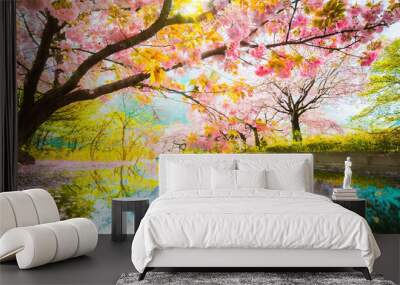 桜　日本　　 Wall mural